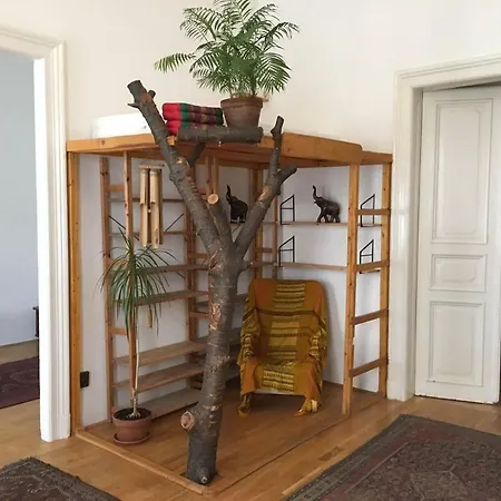 Jungle In The City Center *